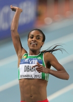 World Indoor Championships 2012 (Istanbul, Turkey). 	Champion at 1500 Metres. Genzebe Dibaba (ETH)