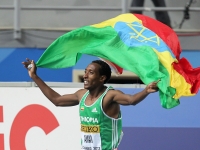 World Indoor Championships 2012 (Istanbul, Turkey). Champion at 800m. Mohammed Aman (ETH)