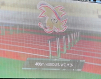 6th European Athletics Team Championships 2015. 400 m hurdles 
